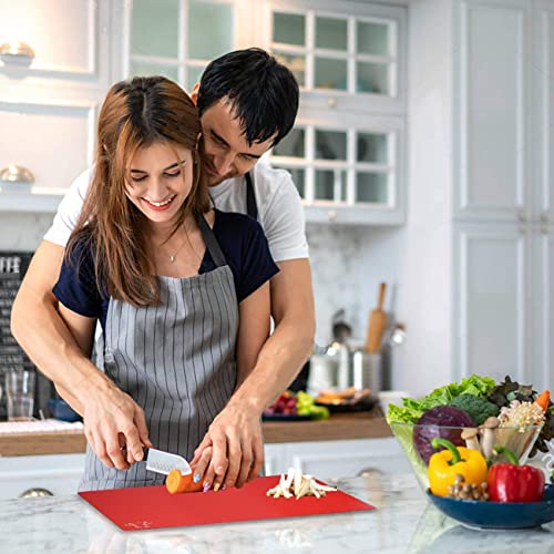 Plastic Cutting Boards for Kitchen (Multi colors)