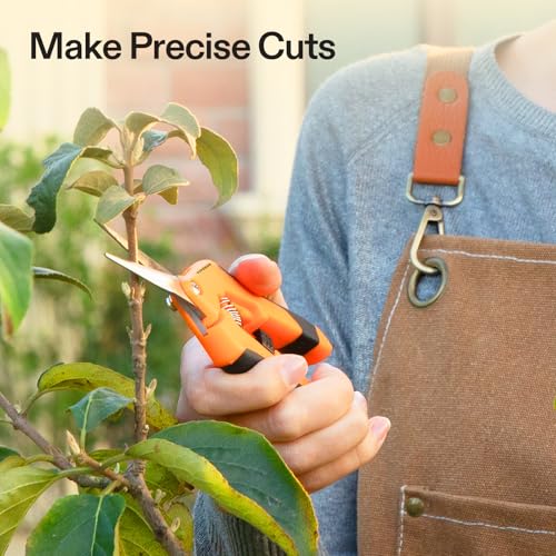 6.5 Inch Garden Scissors (Orange Straight Blade / Orange)