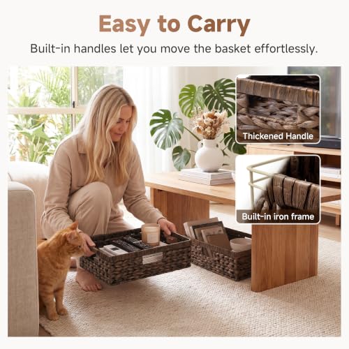 Large Wicker Storage Baskets for Shelves (Brown (Water Hyacinth) / 15¼"L x 11¾"W x 4¾"H)