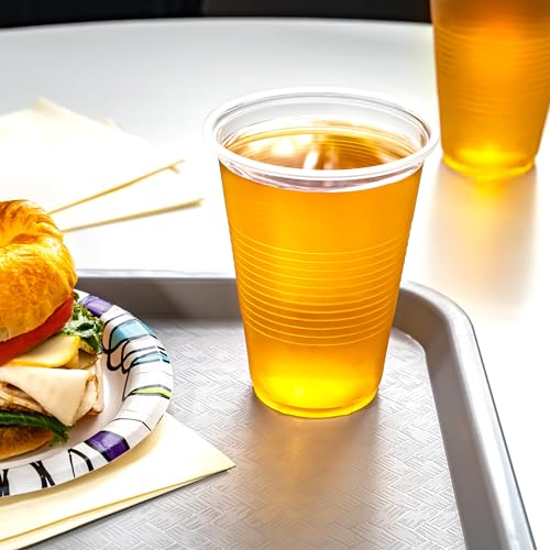 Disposable Clear Plastic Cups for Cold Drinks (16 Ounces)