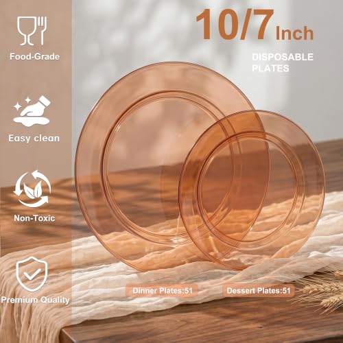 102 Pcs Amber Plastic Plates (102 Pieces / Clear Brown)