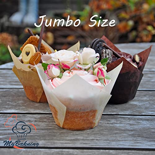 JUMBO EXTRA LARGE size (Jumbo Brown&White&Natural)