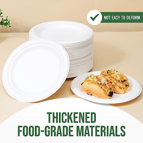 7 Inch Paper Plate 100 Pack White Disposable (White / 7 IN)