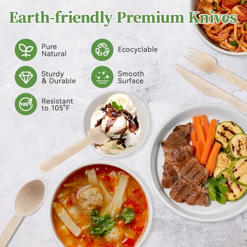 300 Count Compostable Wooden Disposable Knives for Party (brown-knives)