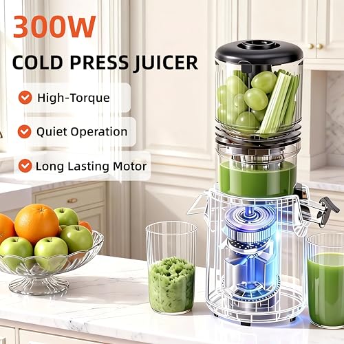 Cold Press Juicer Machines (Red)