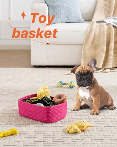 Small Woven Storage Basket for Organizing (Hot Pink / 12"L x 8"W x 4.5"H)