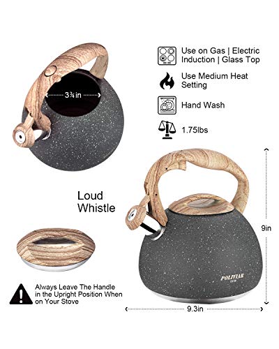 POLIVIAR Tea Kettle (2.7 Quarts / Gray)