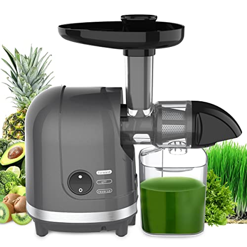 Masticating Juicer Machine 200W Slow Cold Press Extractor for Veggie (Grey)