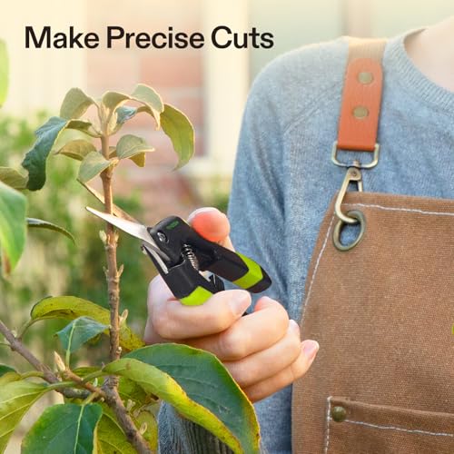 6.5 Inch Garden Scissors (Black Straight Blade / Black)