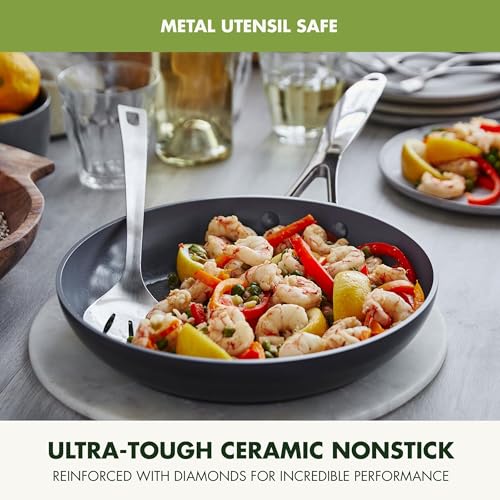 Valencia Pro 2 Piece (10" & 12" Frying Pan Skillet Set / Gray)