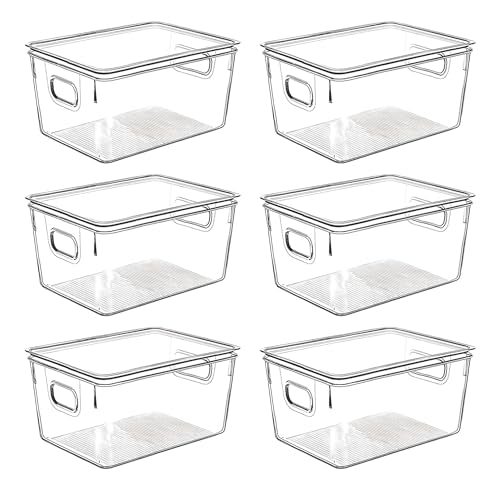 Clear Plastic Storage Bins with Lids (10 X 7.3 X 5)
