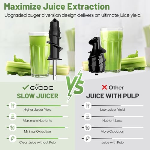 Electric Cold Press Juicer (Black)