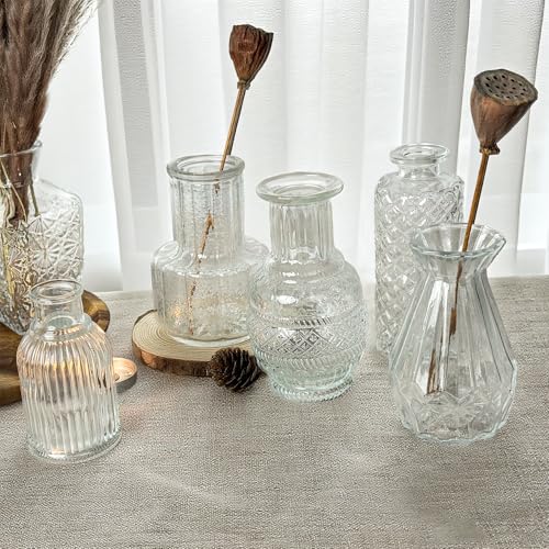 Glass Bud Vase Set of 12 Pcs Small Minimalist Vases for Flowers (Clear)