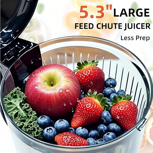 Cold Press Juicer Machines (Red)