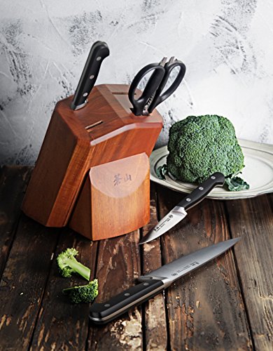 V2 Series 1022520 German Steel Forged 5 (5-Piece Knife Block Set)
