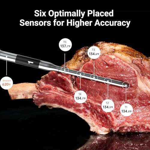 WiFi Wireless Meat Thermometer