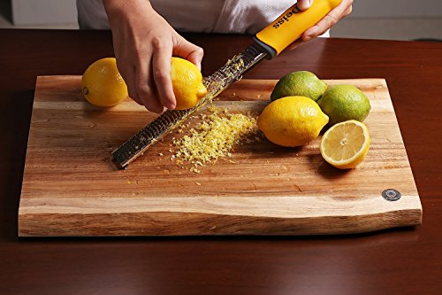 PRO Citrus Zester & Cheese Grater