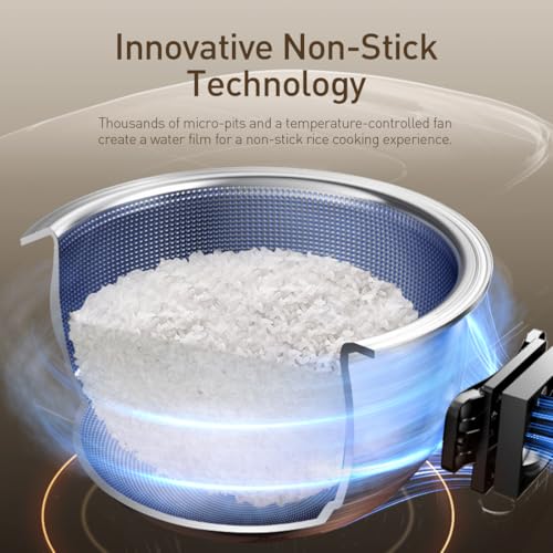 Stainless Steel Rice Cooker (6 Count)