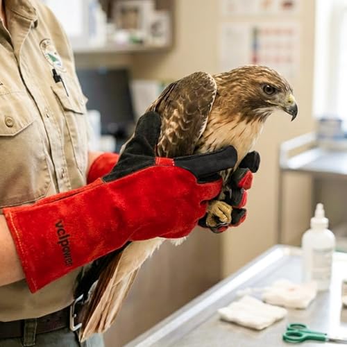 Animal handling Gloves 16 (L)