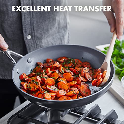 Valencia Pro 10" Ceramic Nonstick Frying Pan with Lid (10" Frying Pan Skillet with Lid / Gray)