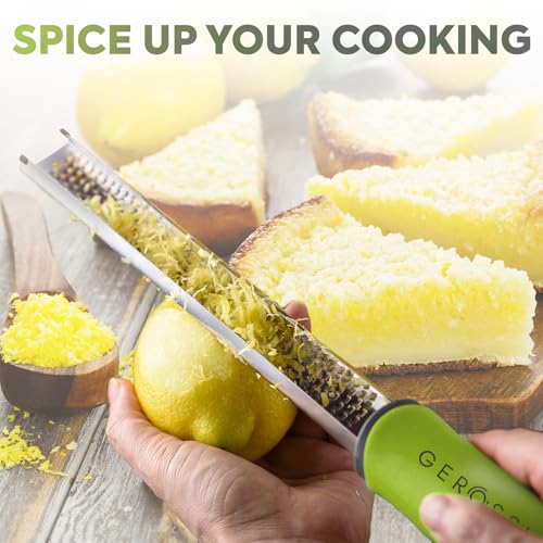 Stainless Steel Cheese Grater & Lemon Zester w