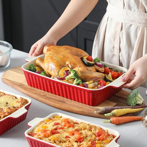 Ceramic Casserole Baking Dishes Set of 4 (Red / Set of 4-rectangular)