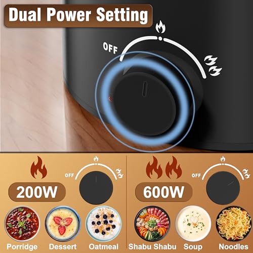 1.6L Electric Pot