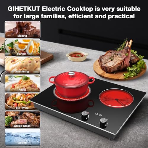 Electric Cooktop (2 Burner Electric Cooktop Built-In)