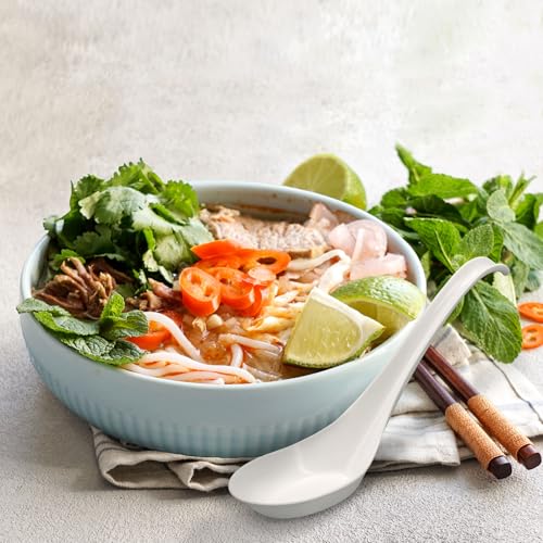 Disposable PLA Cornstarch Asian Soup Spoons with Hook Plastic (6.5 inch)