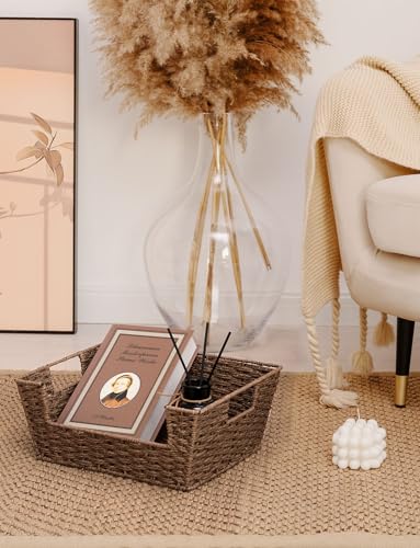 Pantry Baskets for Shelves (Brown / 13 ½"L x 10 ¾"W x 5"H)