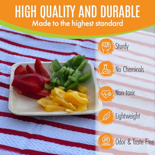Raj Leaf Disposable Heavy Duty 6" Square Plates 200 Pack (200 / 6" Square Plates)