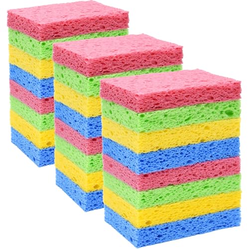 24 Pack Kitchen Sponges Natural Cellulose Compressed Sponges for Cleaning Reusable Dish Sponge Kitchen Non (24 Count)