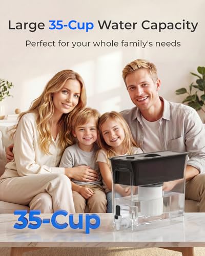 WFD 03L Water Filter Dispenser (Black-TDS Reduction)