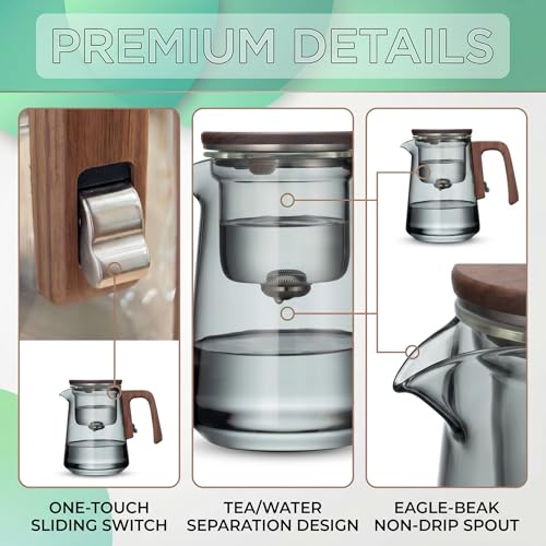 Magnetic Glass Teapot with Infuser (Round 750)