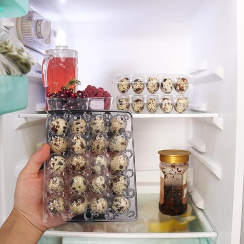 150 Pack Quail Egg Cartons (150 Pack Quail Egg Cartons 20 Grids)