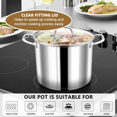 10 QT Stainless Steel Stock Pot with Lid (10 Quarts)