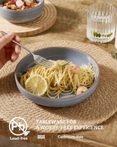 Meteor 33 oz Pasta Bowls Set of 4 (Blue Gray / Set of 4)