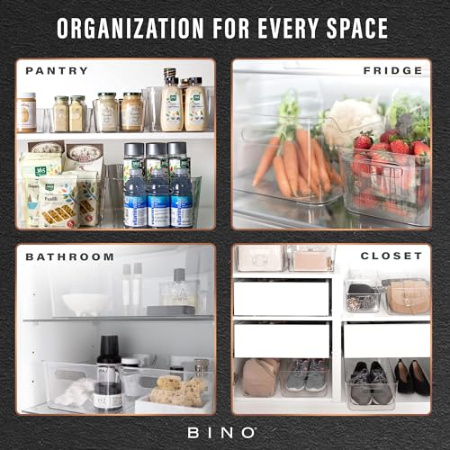 Plastic Organizer Bins (Clear / Large)