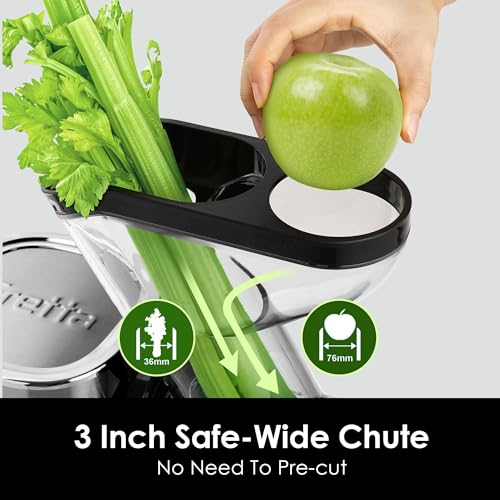 Cold Press Juicer Machines (Stainless Steel)