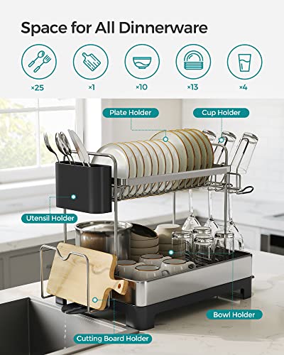 2 Tier Dish Drying Rack for Kitchen Counter (Silver + Black)