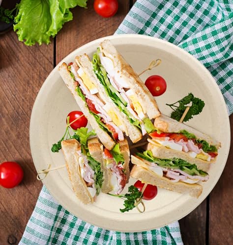 100% Compostable Disposable Paper Plates Heavy Duty Waterproof Plates (10 INCH / 50 PCS PLATES)