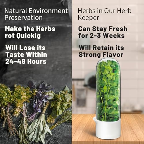 Herb Keeper for Refrigerator (3PCS)