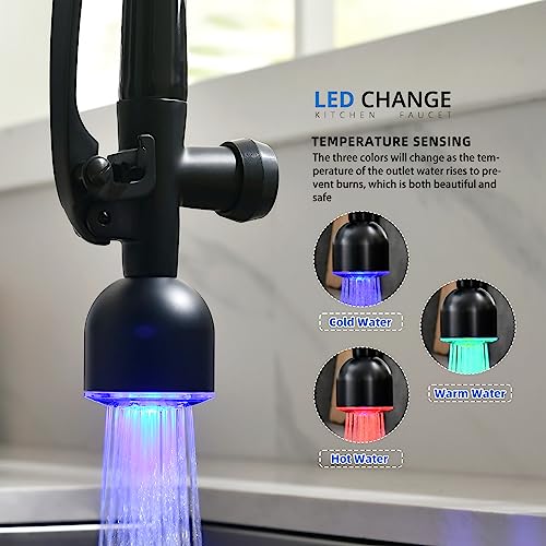 Single Handle Pull Down Sprayer Black&Rose Gold Kitchen Faucet (Black&Rose Gold)