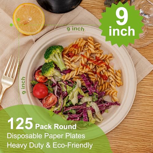 Paper Plates 9 Inch 125 (Natural / 9Inch（125 PCS）)