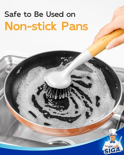 Dish Brush with Handle (2 Count)