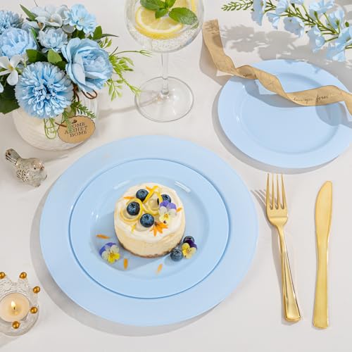 60PCS Light Blue Heavy Duty Plastic Disposable Party Plates Set (60 / Baby Blue)