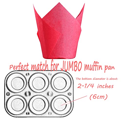 Red colour Large size Tulip Baking Cups 2 (Red)