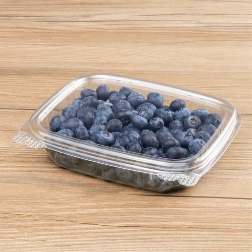 8oz 200 ct Small Clamshell Containers with Lids (200 Count)