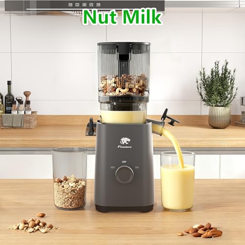 Cold Press Juicer Machines (Grey)