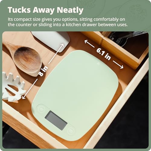 Food Scale Slim & Compact Build (Sage Green)